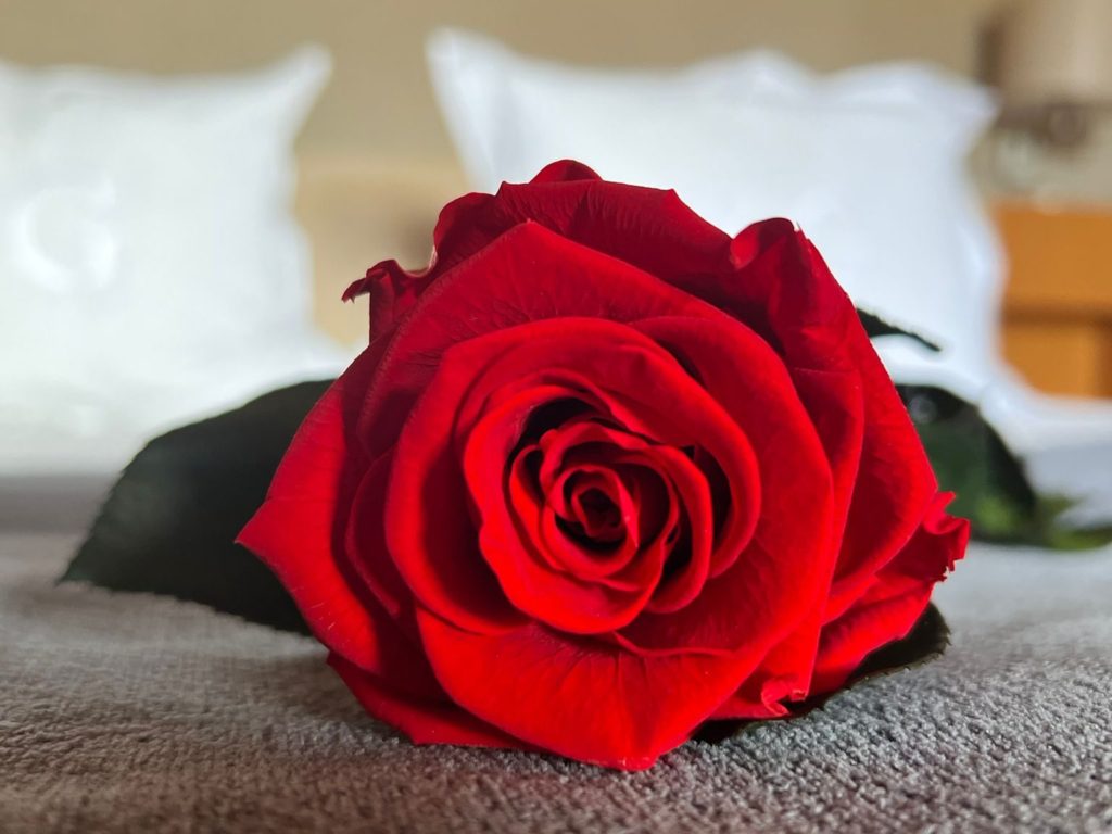 Sant Jordi: tradición arraigada que cobra vida en la Cerdanya